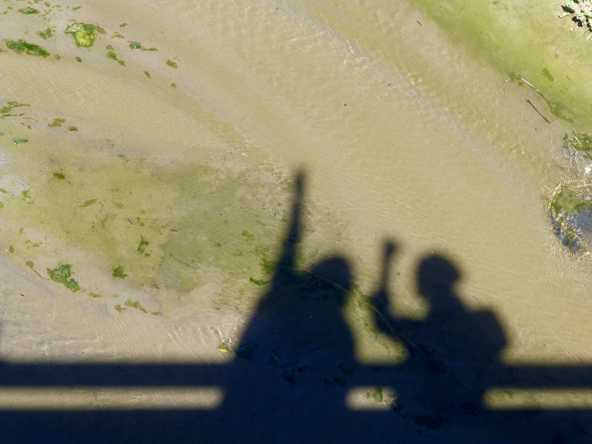 Rio Shadows