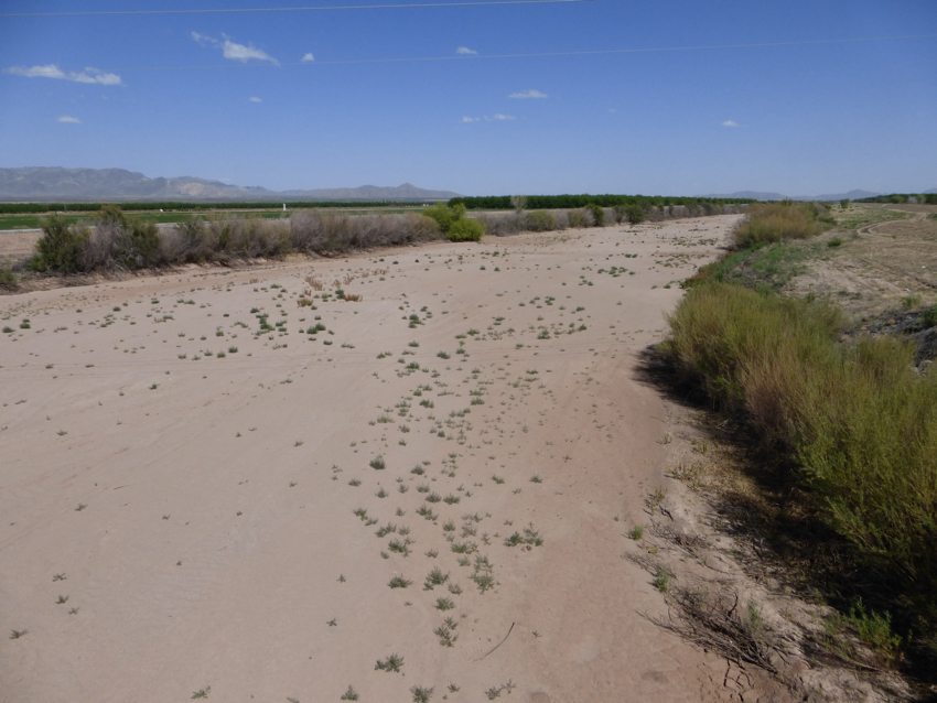 Dams have been plugged up at either side of the Rio Grande in this section of New Mexico. 