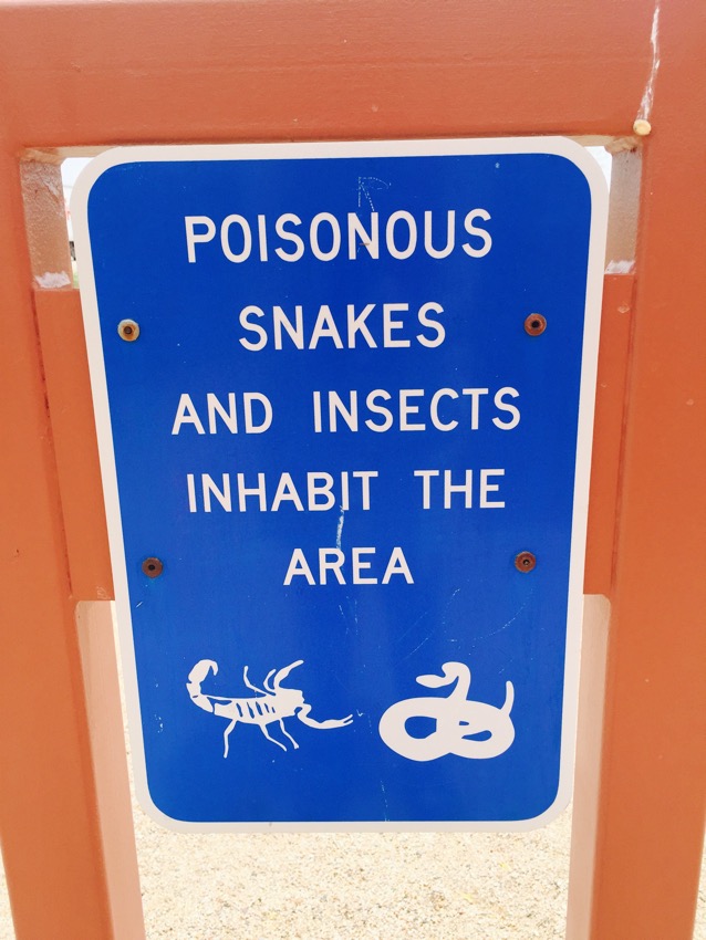 The desert is an unfriendly place sometimes